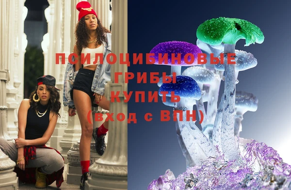 мяу мяу мука Дмитровск