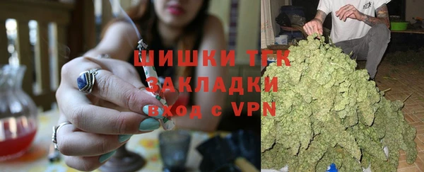ECSTASY Дмитриев