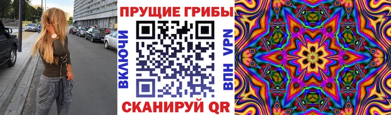 закладки  Каменка  Галлюциногенные грибы ЛСД 